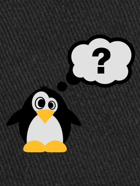 pinguin_frage_f3
