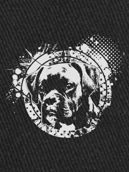 Boxer dog