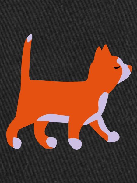 Kitten