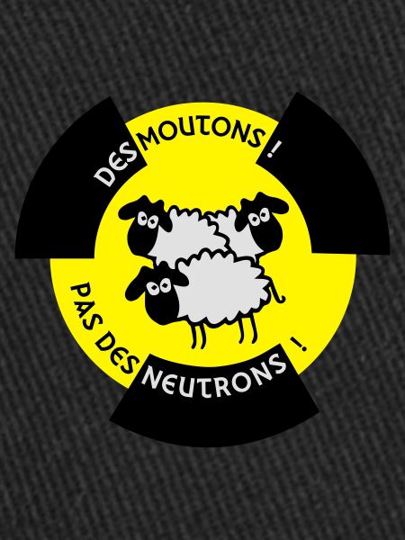 Sheep! No Neutron!
