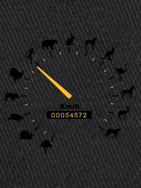 tachometer