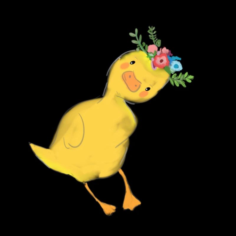 canard