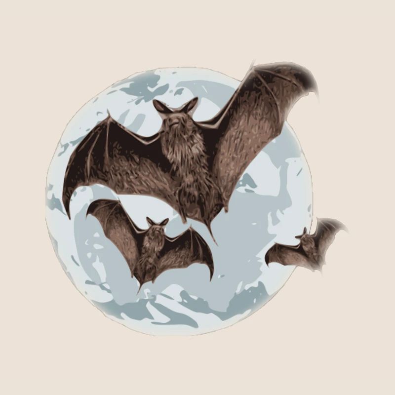 Fledermaus