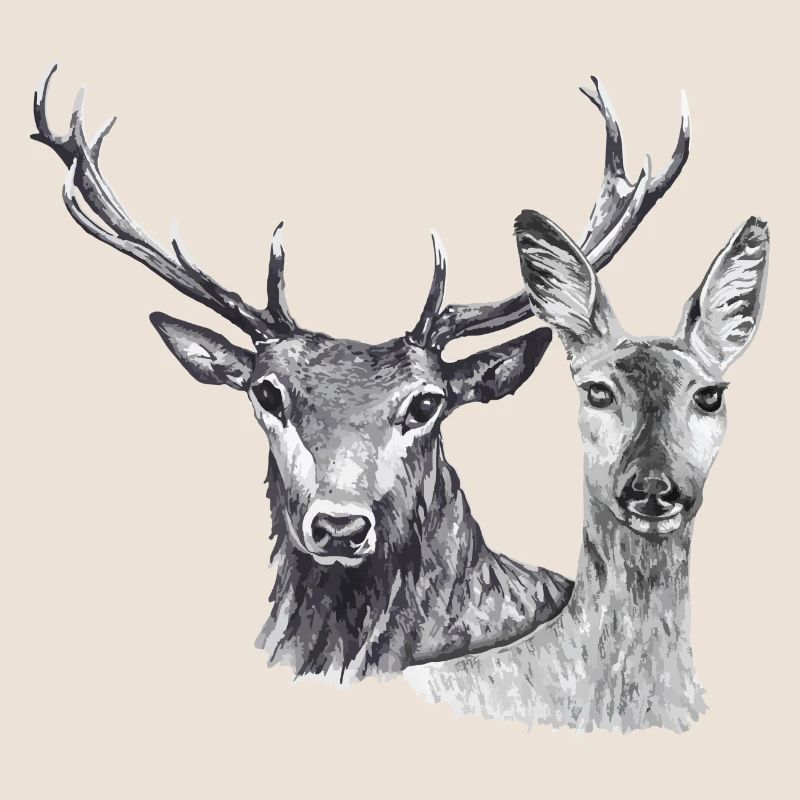 Deer and doe