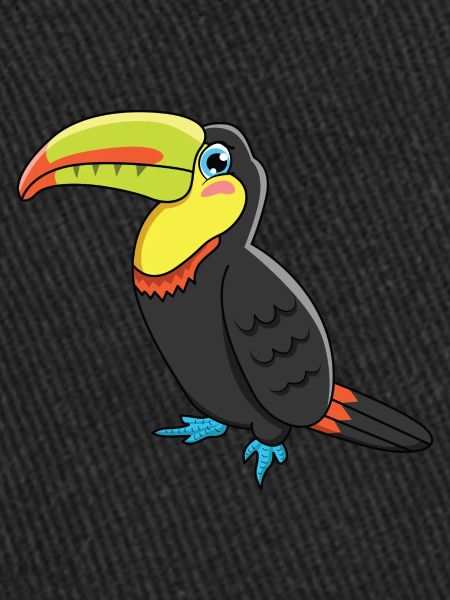 Toucan