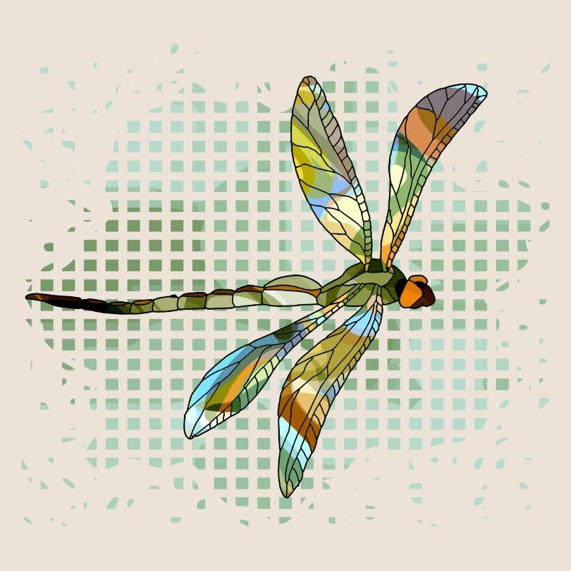 Libellule