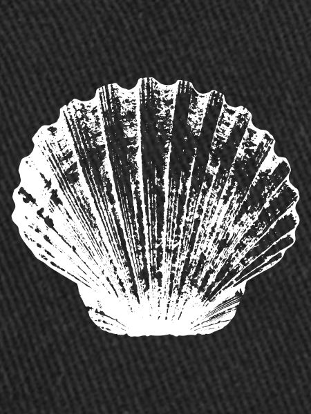 Scallop