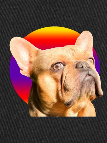 Freddie the Frenchie