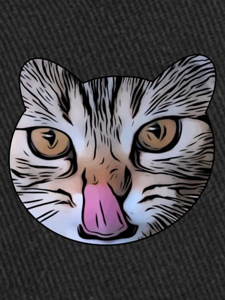Chat léché