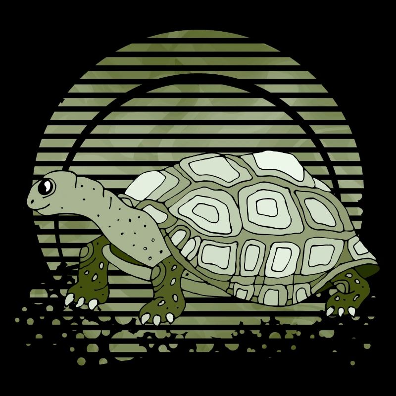 Tortue