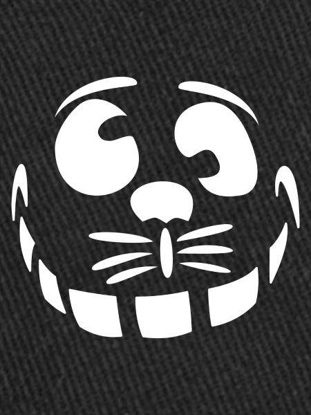 crazy cat grinning wittily