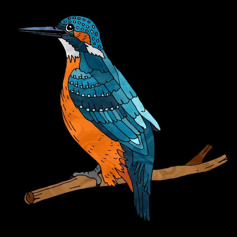 Oiseau coloré