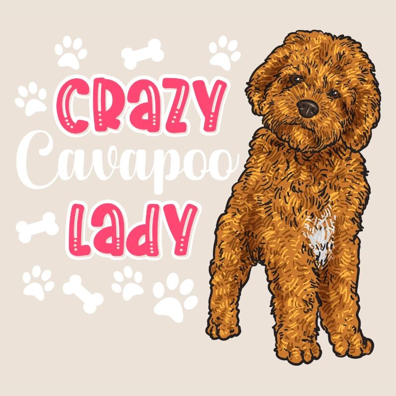 Cavapoo Cavoodle Capoodle Chien