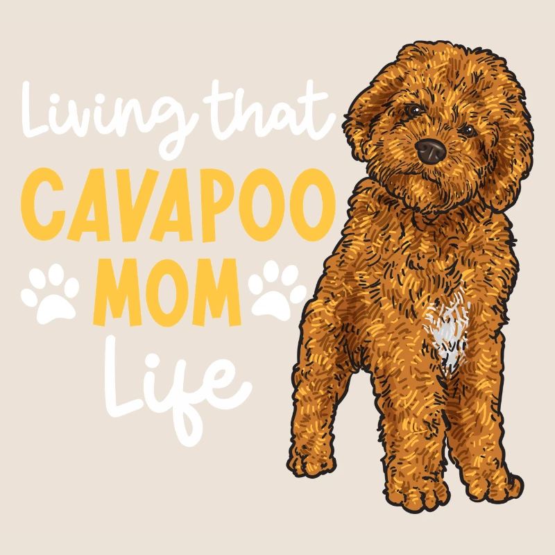 Cavapoo Cavoodle Capoodle Chien