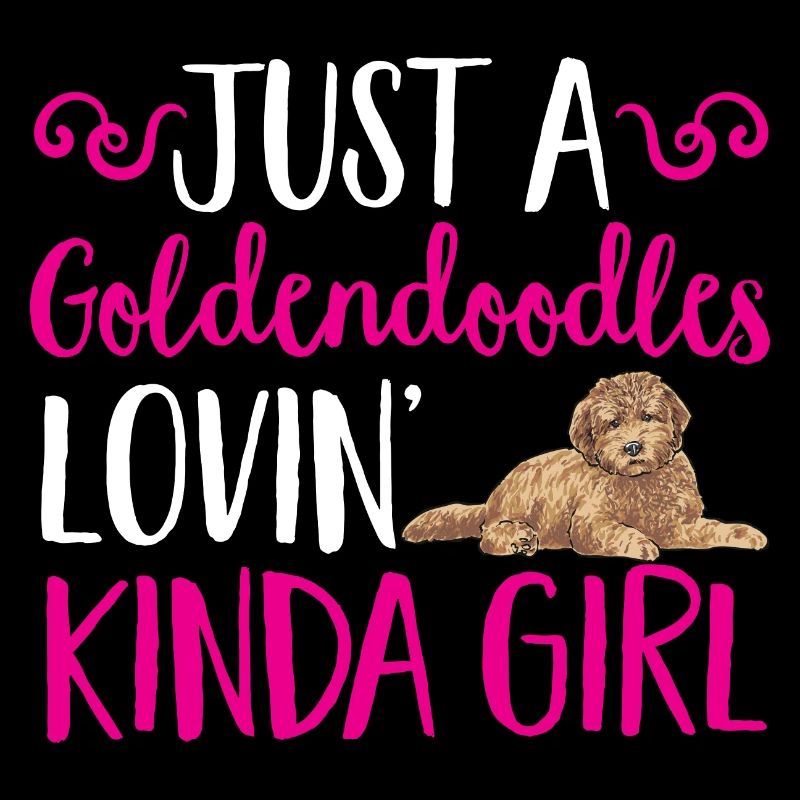 Goldendoodle Doodle Chien