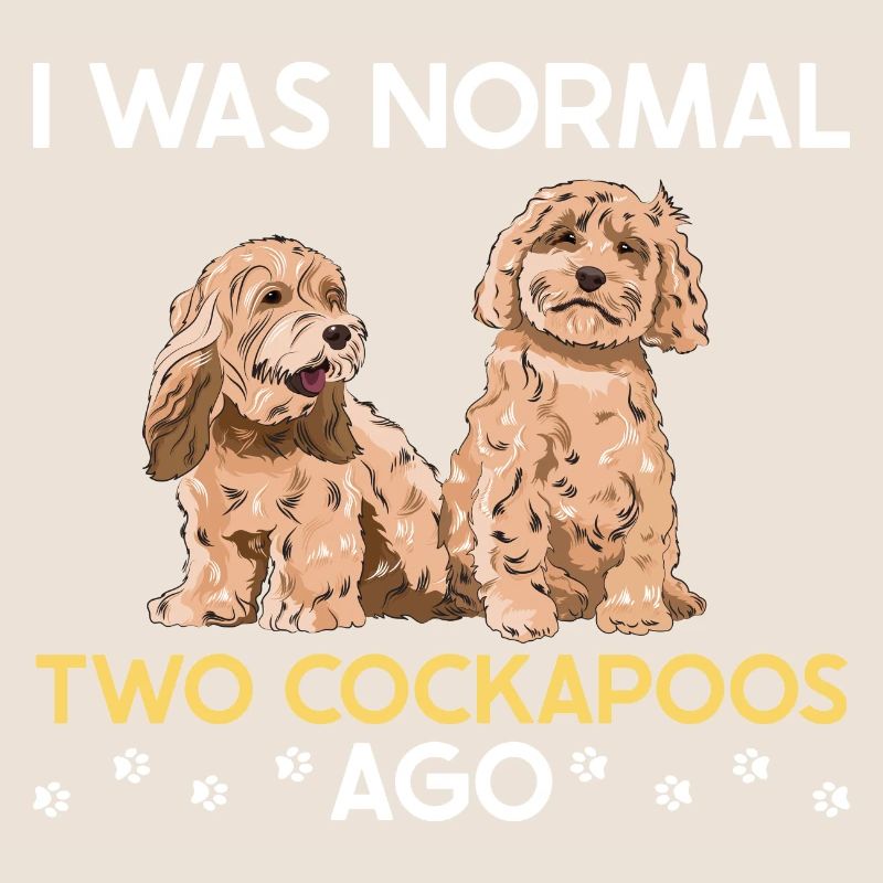 Cockapoo Chien