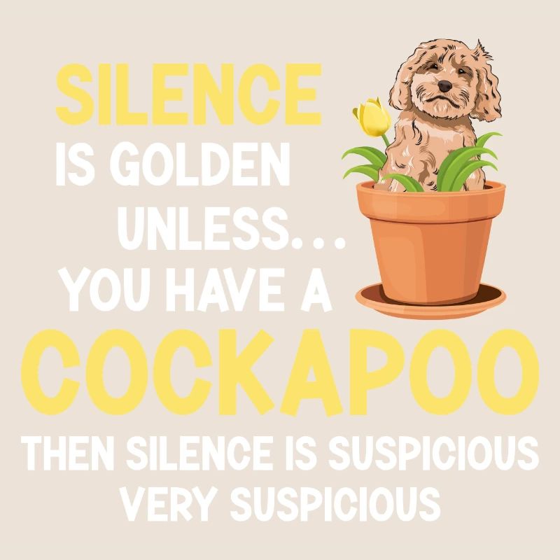 Cockapoo Hund