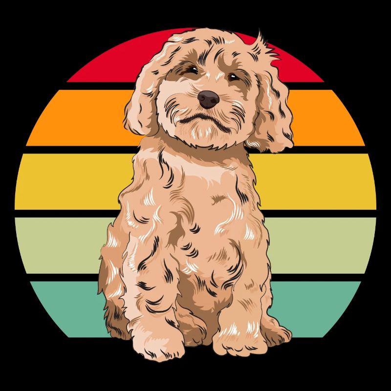 Cockapoo Hund