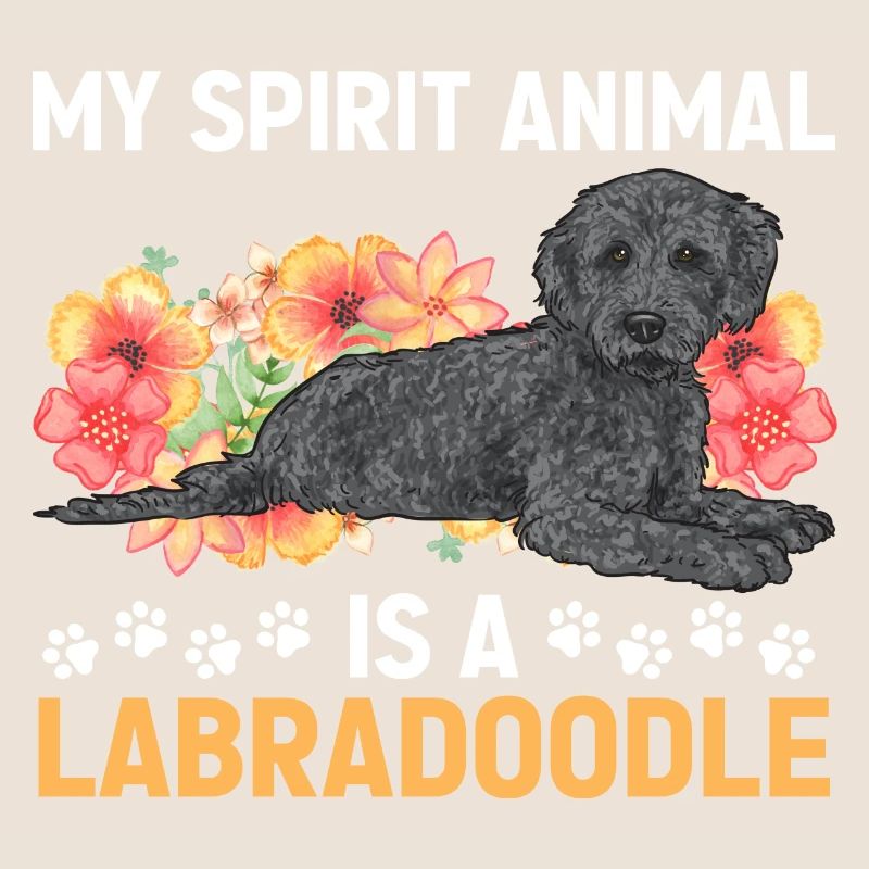 Labradoodle Chien