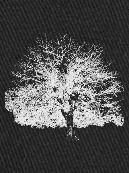 Winter tree white