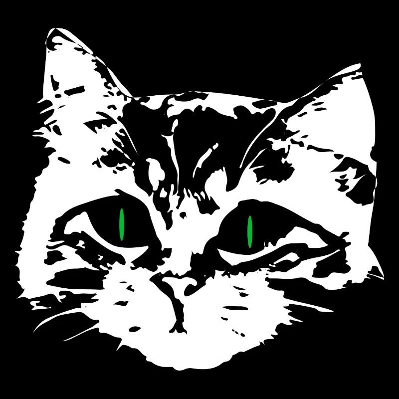 Chat amoureux visage