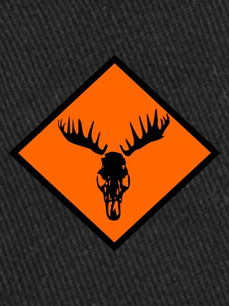 Moose Skull