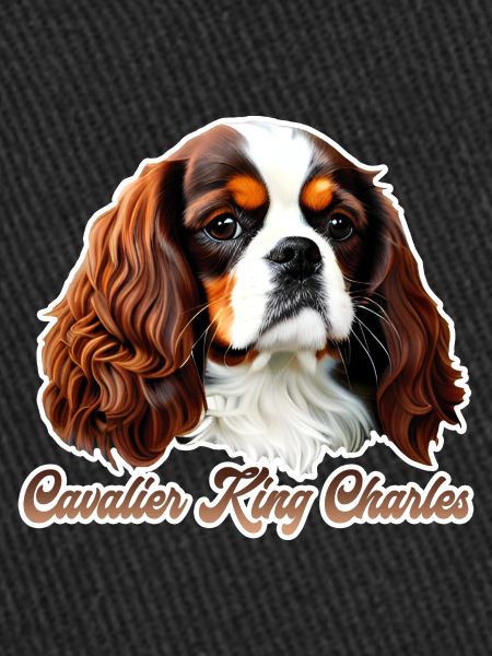 Cavalier King Charles CKC
