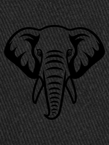 Tête d’éléphant