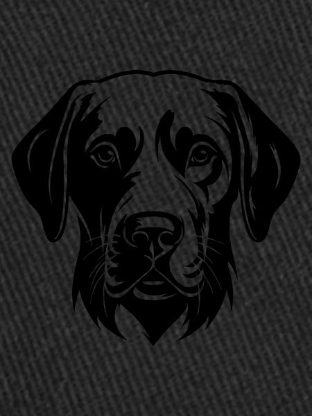 Labrador Dog Head