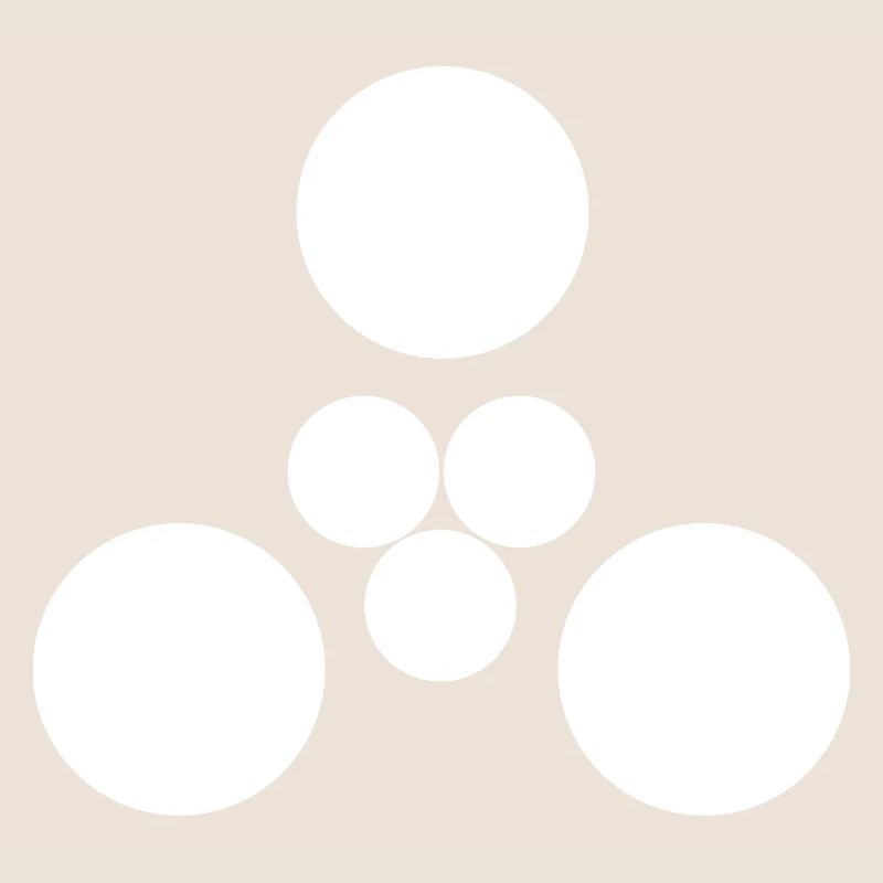 Starship S28 - Third Flight Test - Engine Diagram