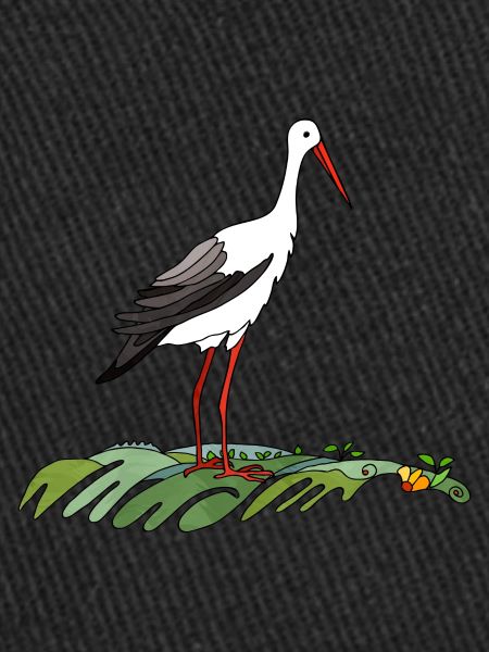 Stork bird