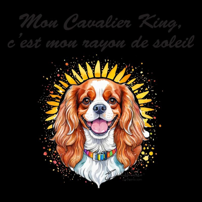Cavalier King rayon de soleil