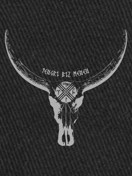 Tengri