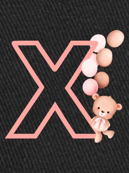 Letter x Pink Bear
