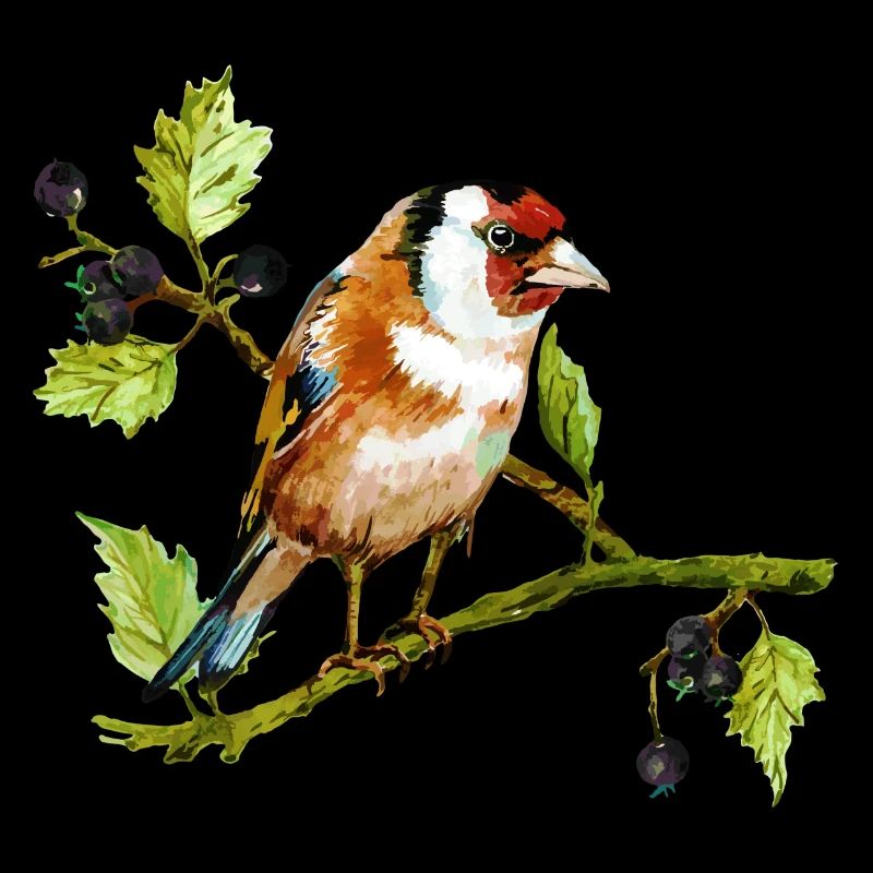 Colorful bird