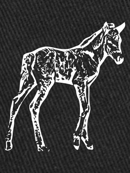 cheval