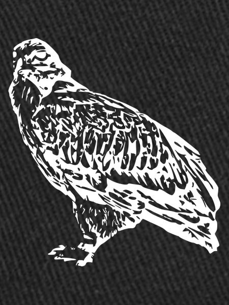 Faucons Oiseaux Oiseaux