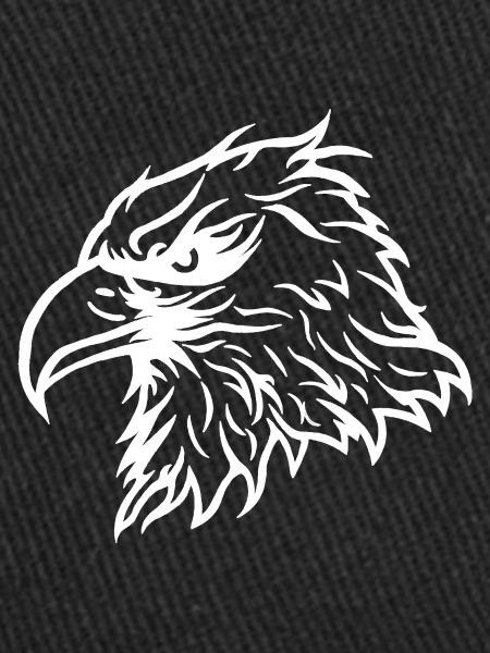 Cool Bald Eagle Eagle