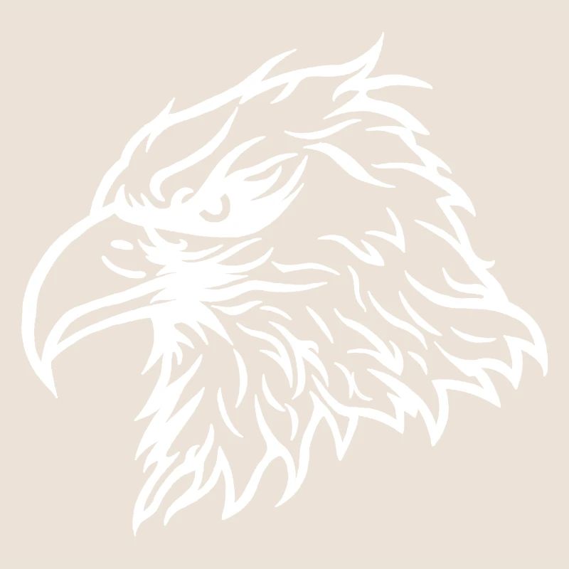 Cool Bald Eagle Eagle