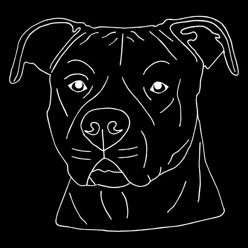 American Staffordshire Terrier