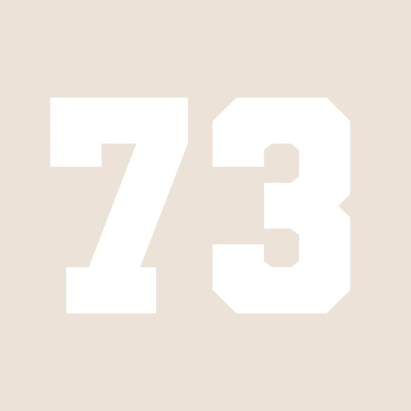 Équipe 73