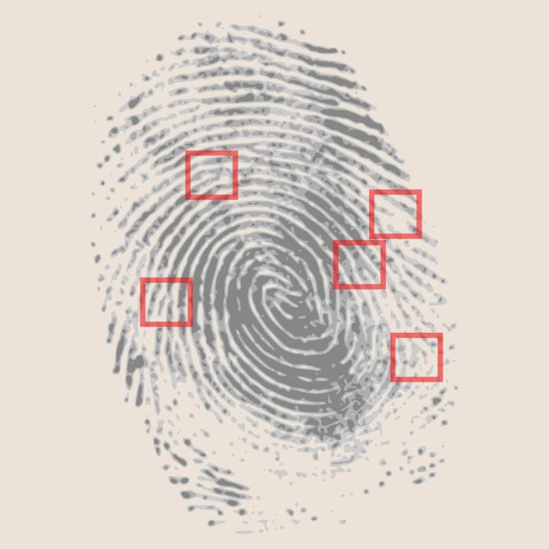 Fingerprint with characteristic determination.