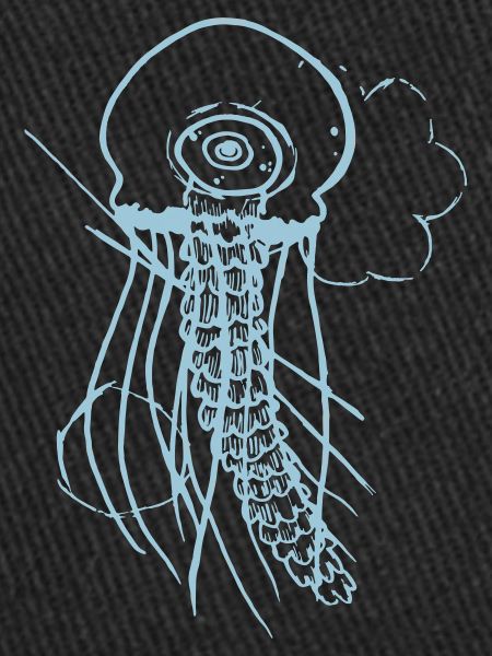 jellyfish