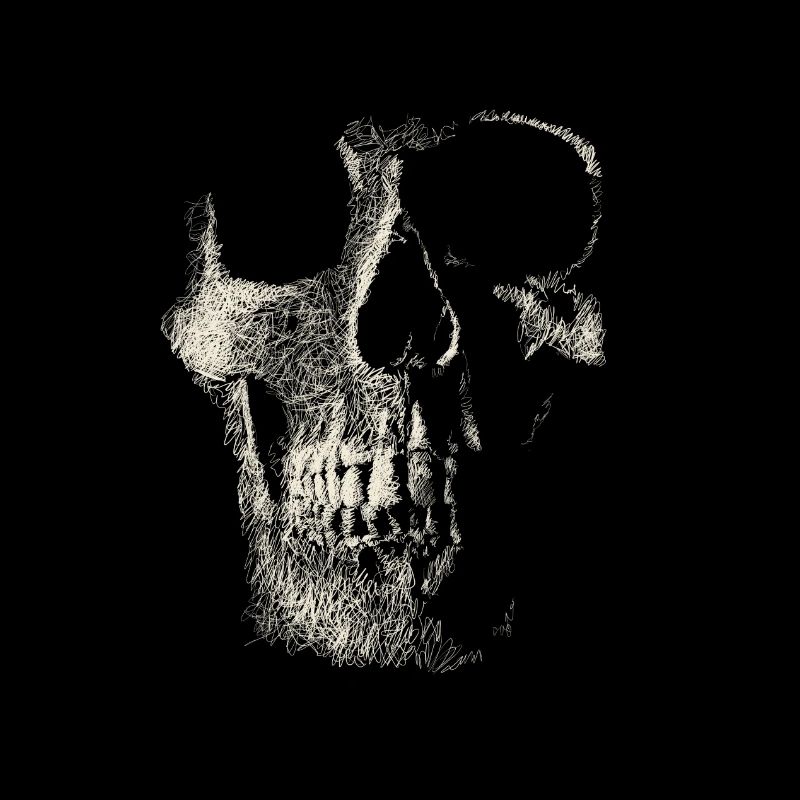 Skull
