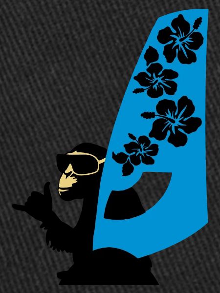 windsurfer
