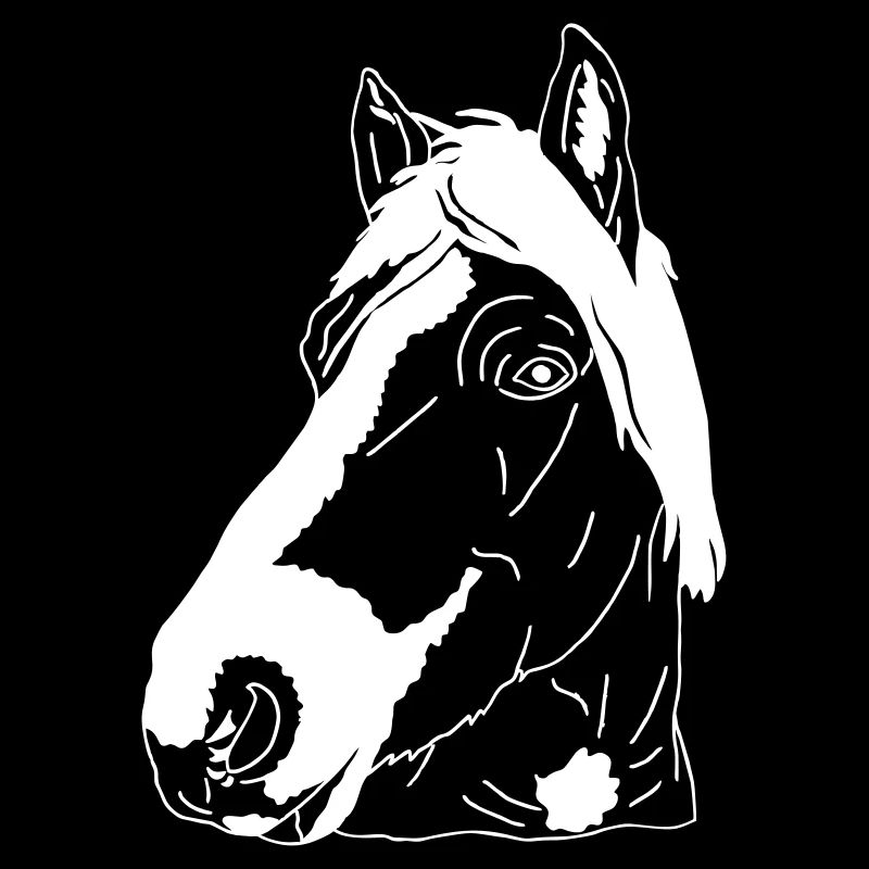 Haflinger