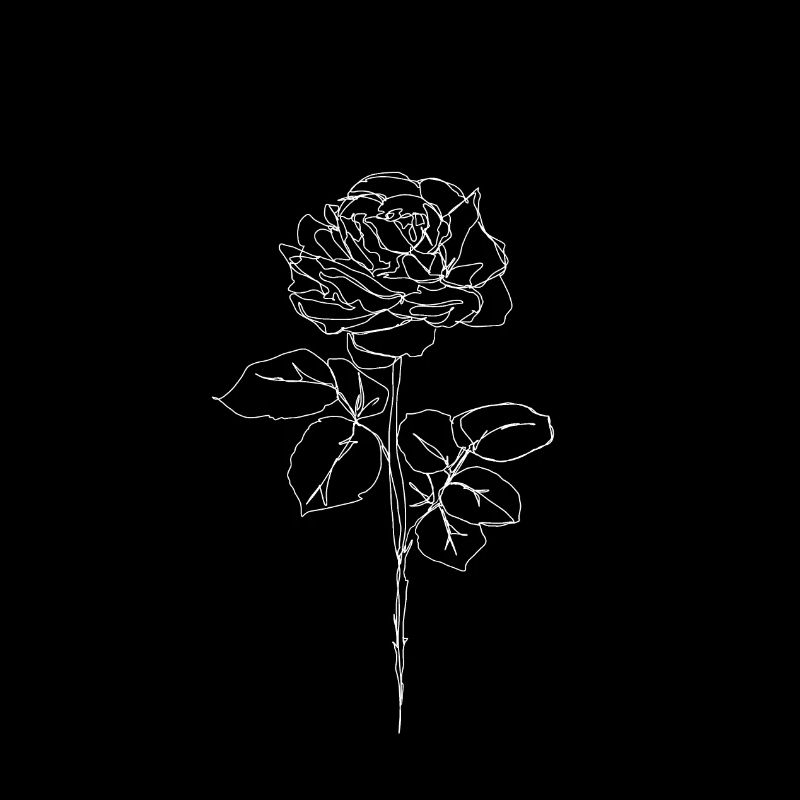 White Rose