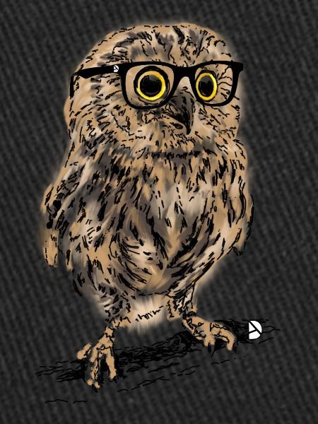 AD Owl