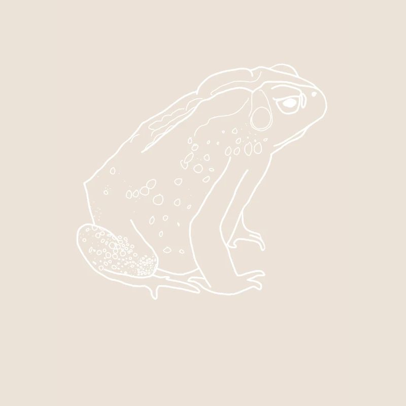 crapaud