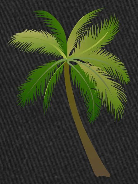 palm tree palm palms